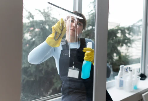 Nettoyage de vitres intérieures et extérieures à Toussieu